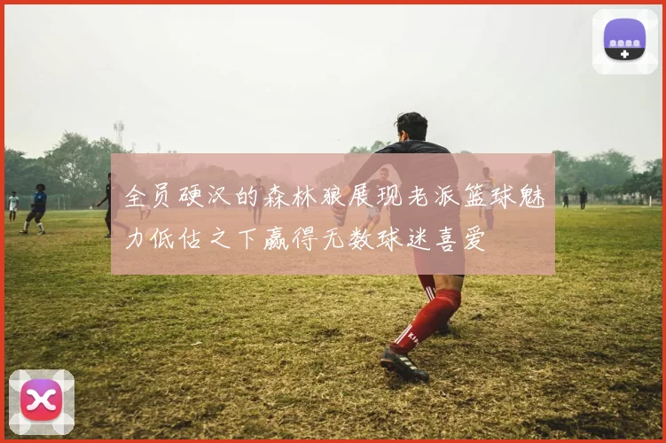 全员硬汉的森林狼展现老派篮球魅力低估之下赢得无数球迷喜爱